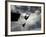 Colombia's Juan Guillermo Uran and Victor Ortega Dive to Win Gold in Men's Springboard Diving Event-null-Framed Photographic Print