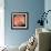 Colon Diverticulosis-David Martin-Framed Premium Photographic Print displayed on a wall