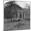 Colonel Afsurul Mulk on a Tiger Hunt, India, 1900s-null-Mounted Giclee Print