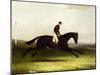 Colonel Pearson's 'Achievement' with J. Chalmer Up in a Landscape-William Joseph Shayer-Mounted Giclee Print