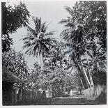 A Street in Papeete, from "Tahiti," Published in London, 1882-Colonel Stuart-wortley-Framed Giclee Print