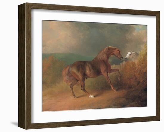 Colonel Thornton's Jupiter-Sawrey Gilpin-Framed Giclee Print