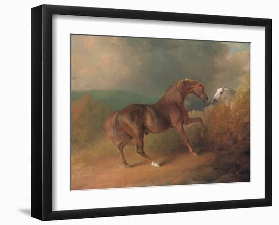 Colonel Thornton's Jupiter-Sawrey Gilpin-Framed Giclee Print