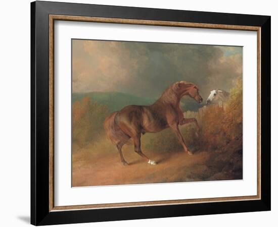 Colonel Thornton's Jupiter-Sawrey Gilpin-Framed Giclee Print