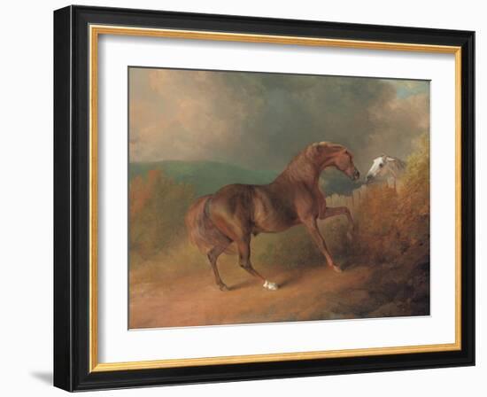 Colonel Thornton's Jupiter-Sawrey Gilpin-Framed Giclee Print