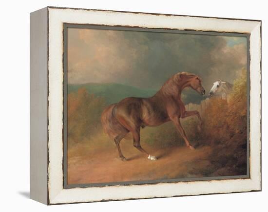 Colonel Thornton's Jupiter-Sawrey Gilpin-Framed Premier Image Canvas