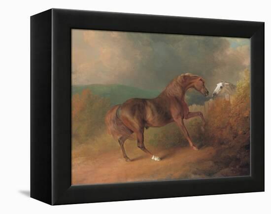 Colonel Thornton's Jupiter-Sawrey Gilpin-Framed Premier Image Canvas