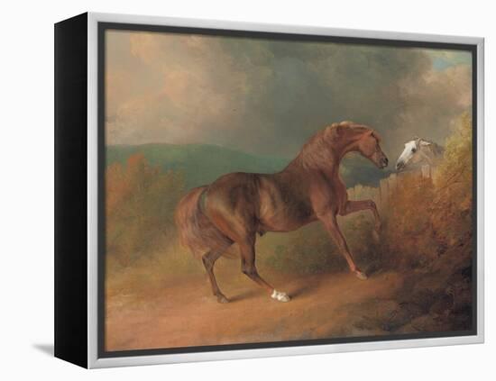 Colonel Thornton's Jupiter-Sawrey Gilpin-Framed Premier Image Canvas