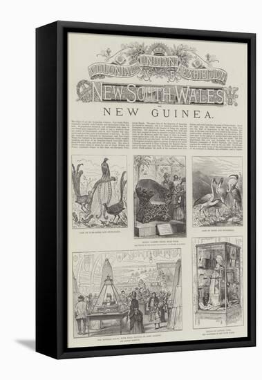 Colonial and Indian Exhibition, New South Wales and New Guinea-null-Framed Premier Image Canvas