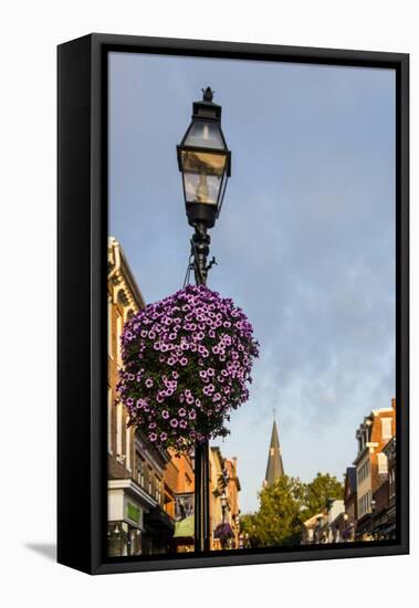 Colonial Architecture in Historic Annapolis, Maryland-Jerry Ginsberg-Framed Premier Image Canvas