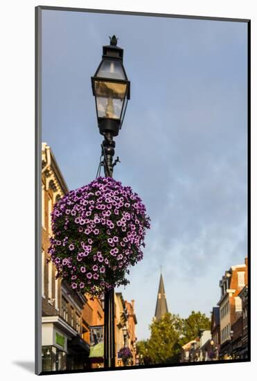 Colonial Architecture in Historic Annapolis, Maryland-Jerry Ginsberg-Mounted Photographic Print