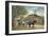 Colonial Coach, Williamsburg, Virginia-null-Framed Art Print