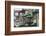 Colonial House in the Historic Center of Paramaribo (UNESCO), Suriname-Keren Su-Framed Photographic Print