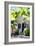 Colonial House - In the Style of Oil Painting-Philippe Hugonnard-Framed Giclee Print