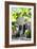 Colonial House - In the Style of Oil Painting-Philippe Hugonnard-Framed Giclee Print