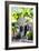 Colonial House - In the Style of Oil Painting-Philippe Hugonnard-Framed Giclee Print