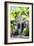 Colonial House - In the Style of Oil Painting-Philippe Hugonnard-Framed Giclee Print