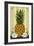 Colonial Pineapple-Lantern Press-Framed Art Print