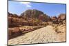 Colonnaded Street, City of Petra Ruins, Petra, UNESCO World Heritage Site, Jordan, Middle East-Eleanor Scriven-Mounted Photographic Print