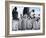 Colony of Emperor Penguins and Chicks, Snow Hill Island, Weddell Sea, Antarctica-Thorsten Milse-Framed Photographic Print