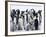 Colony of Emperor Penguins and Chicks, Snow Hill Island, Weddell Sea, Antarctica-Thorsten Milse-Framed Photographic Print