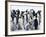 Colony of Emperor Penguins and Chicks, Snow Hill Island, Weddell Sea, Antarctica-Thorsten Milse-Framed Photographic Print
