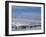 Colony of Emperor Penguins (Aptenodytes Forsteri), Snow Hill Island, Weddell Sea, Antarctica-Thorsten Milse-Framed Photographic Print