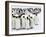 Colony of Emperor Penguins (Aptenodytes Forsteri), Snow Hill Island, Weddell Sea, Antarctica-Thorsten Milse-Framed Photographic Print