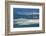 Colony of New Zealand fur seals (Arctocephalus forsteri) off Point Kean, Kaikoura Peninsula, Kaikou-Ruth Tomlinson-Framed Photographic Print