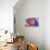 Color Abstract 3-Ata Alishahi-Giclee Print displayed on a wall