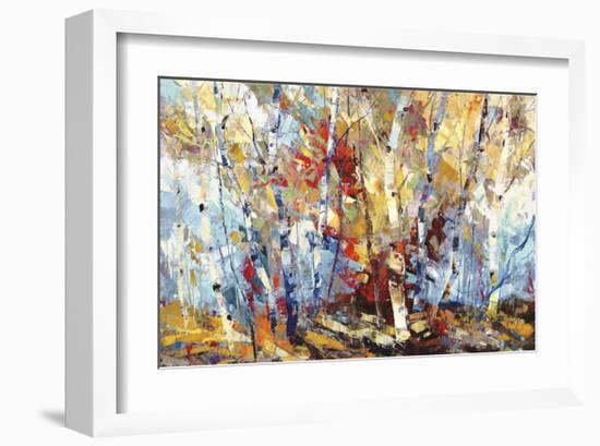 Color Burst 3-Dean Bradshaw-Framed Giclee Print