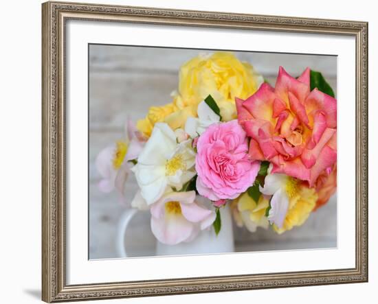 Color Burst-Sarah Gardner-Framed Photo