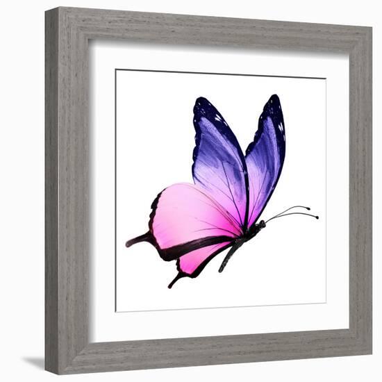 Color Butterfly Flying-suns_luck-Framed Art Print