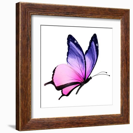 Color Butterfly Flying-suns_luck-Framed Art Print