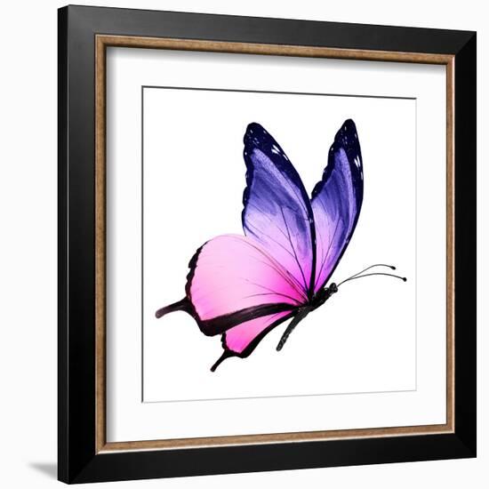 Color Butterfly Flying-suns_luck-Framed Art Print