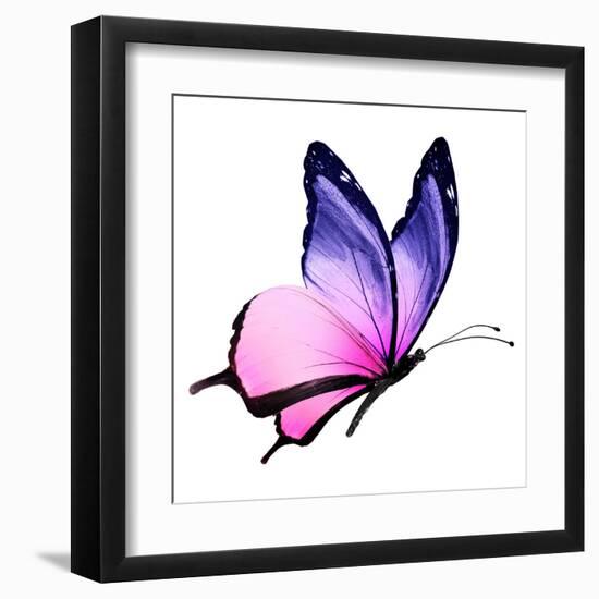 Color Butterfly Flying-suns_luck-Framed Art Print