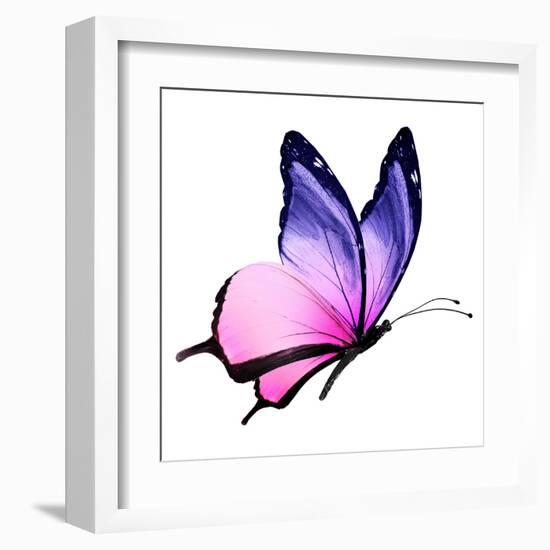 Color Butterfly Flying-suns_luck-Framed Art Print