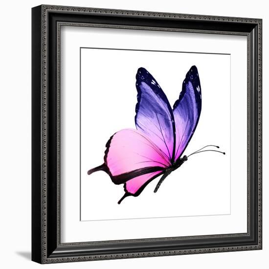 Color Butterfly Flying-suns_luck-Framed Art Print