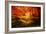 Color Combination-Philippe Sainte-Laudy-Framed Photographic Print