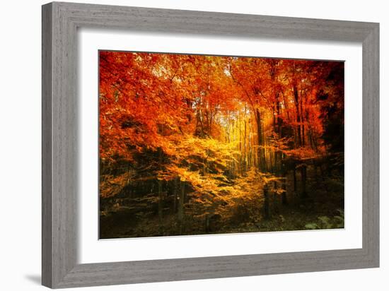 Color Combination-Philippe Sainte-Laudy-Framed Photographic Print