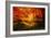 Color Combination-Philippe Sainte-Laudy-Framed Photographic Print