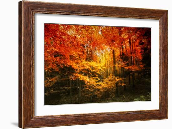 Color Combination-Philippe Sainte-Laudy-Framed Photographic Print