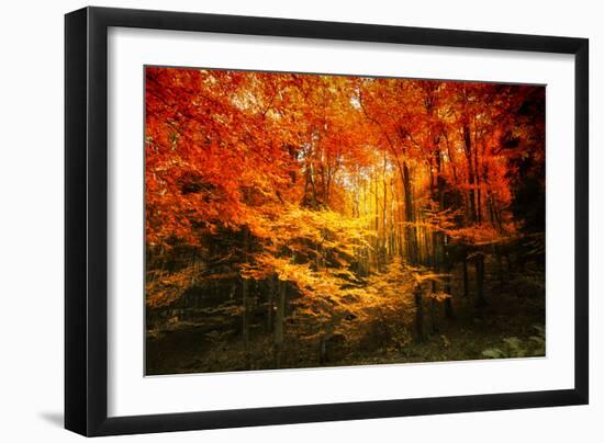 Color Combination-Philippe Sainte-Laudy-Framed Photographic Print