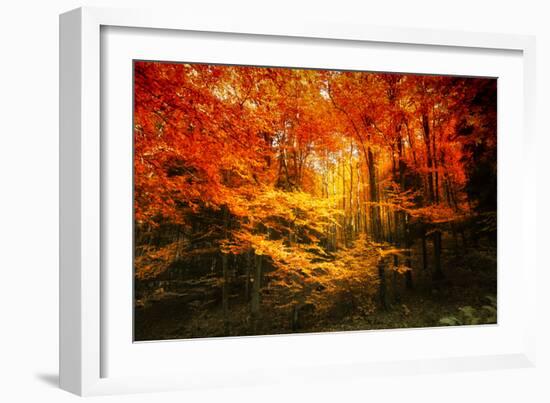 Color Combination-Philippe Sainte-Laudy-Framed Photographic Print