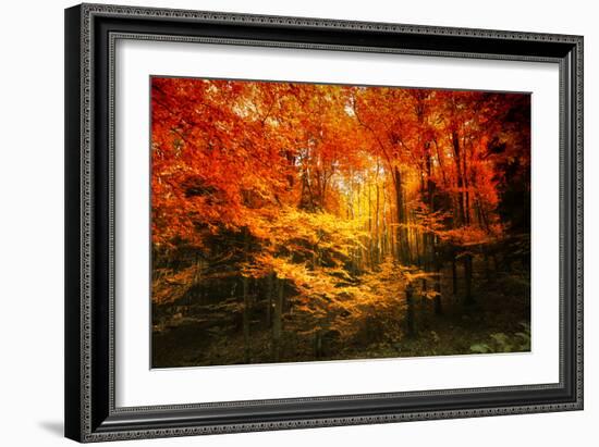 Color Combination-Philippe Sainte-Laudy-Framed Photographic Print