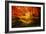 Color Combination-Philippe Sainte-Laudy-Framed Photographic Print