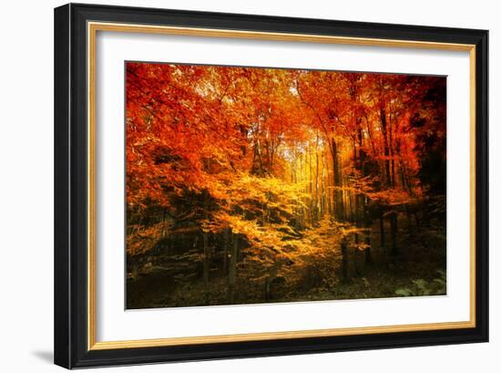 Color Combination-Philippe Sainte-Laudy-Framed Photographic Print