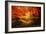 Color Combination-Philippe Sainte-Laudy-Framed Photographic Print