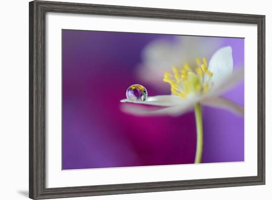 Color Drop Symphony-Heidi Westum-Framed Photographic Print