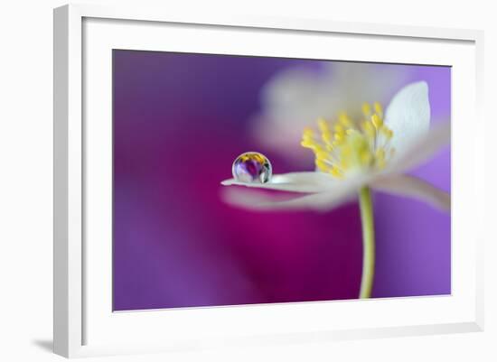 Color Drop Symphony-Heidi Westum-Framed Photographic Print